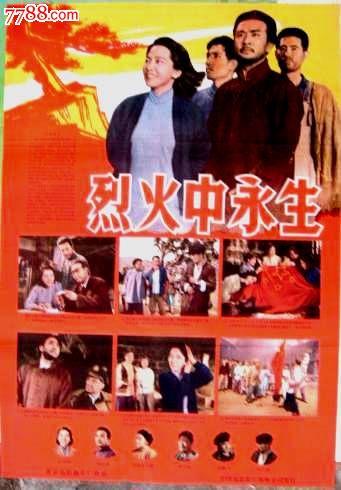 学历证书编号与毕业证书编号